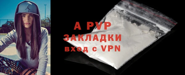 стаф Абинск