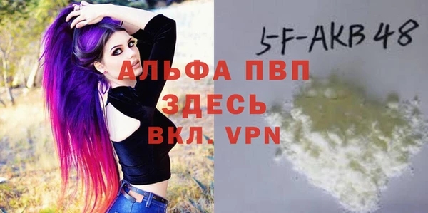стаф Абинск