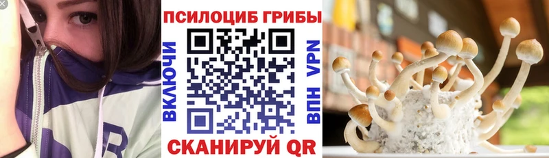 Галлюциногенные грибы GOLDEN TEACHER  Киренск 
